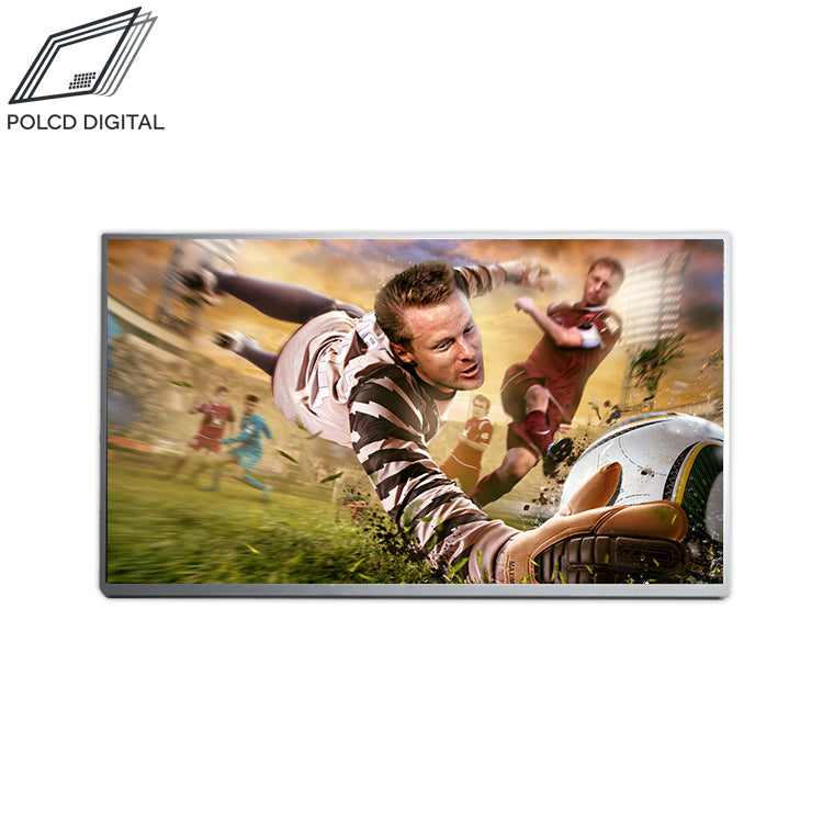 23.8 Inch Industrial FHD TFT LCD Display Module 1920x1080 LVDS 300 nits - DV238FHB-N30
